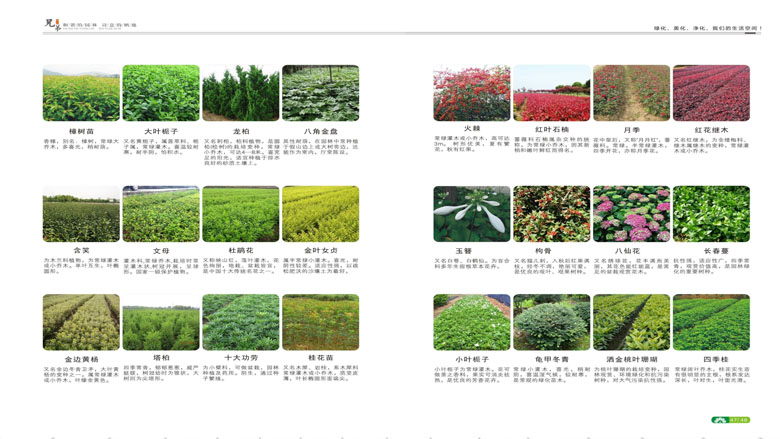 湖南柏嘉兄弟園林建設(shè)有限公司-企業(yè)宣傳 - 副本_101.jpg